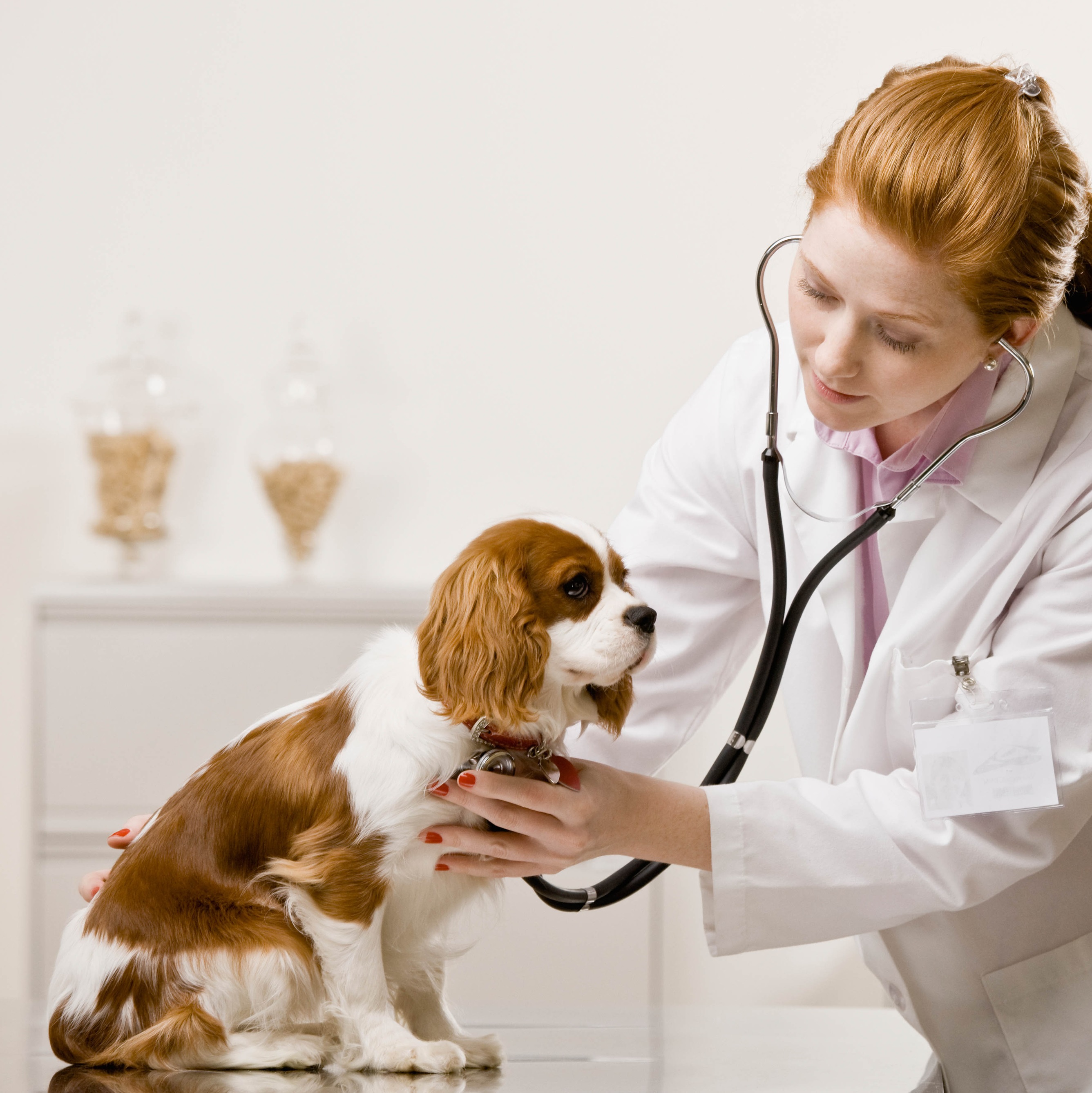 List Of Banned Veterinary Drugs