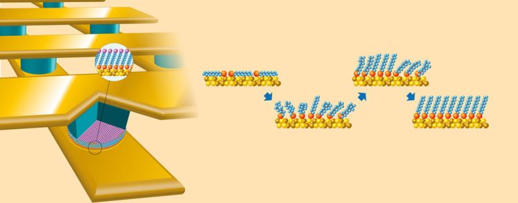 Self-assembled Monolayers